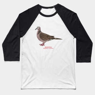 Spotted Dove | Spilopelia chinensis Baseball T-Shirt